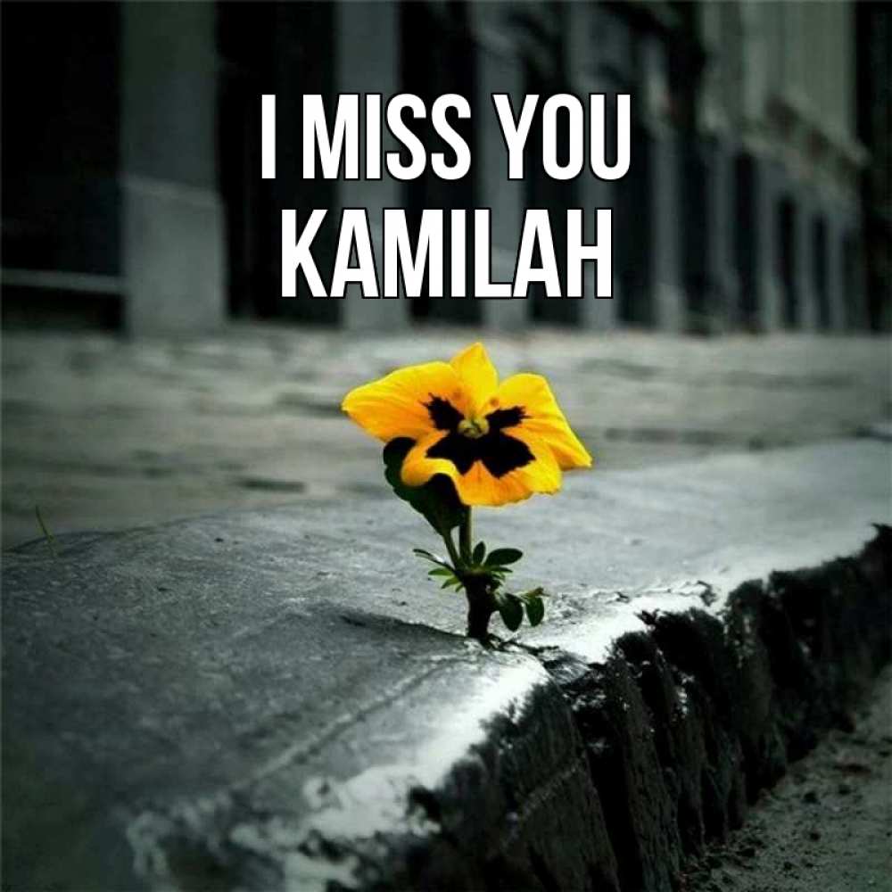 Greetings card с именем, Kamilah I miss you надеюсь будет лучше Greetings with text for free download 