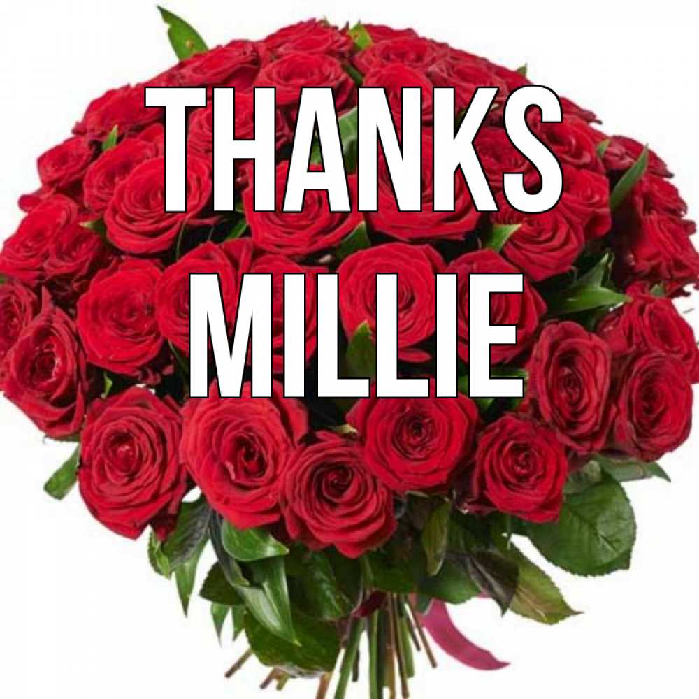 Greetings card с именем, Millie Thanks букет красных роз Greetings with text for free download 
