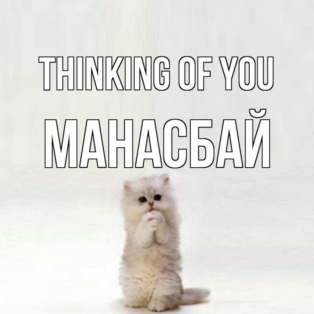 Greetings card с именем, МАНАСБАЙ Thinking of you кот стоит на задних лапах Greetings with text for free download 