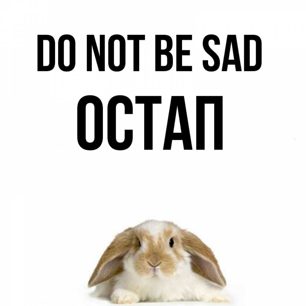 Greetings card с именем, Остап Do not be sad коричнево белый заяц с большими ушками Greetings with text for free download 