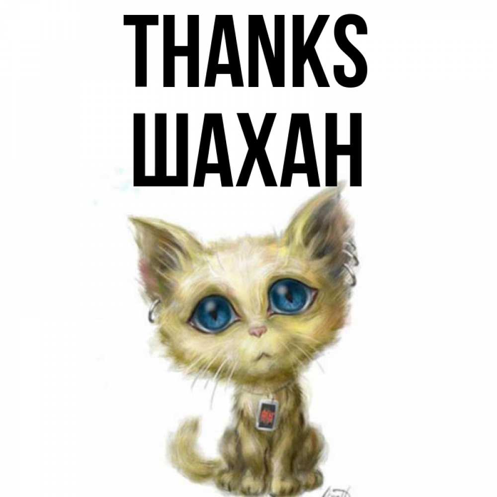 Greetings card с именем, ШАХАН Thanks рисованный кот благодарит вас Greetings with text for free download 