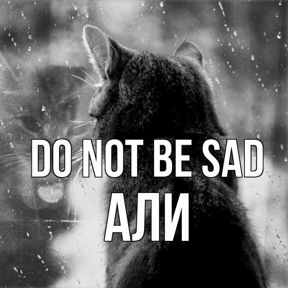 Greetings card с именем, Али Do not be sad отражение кота 1 Greetings with text for free download 