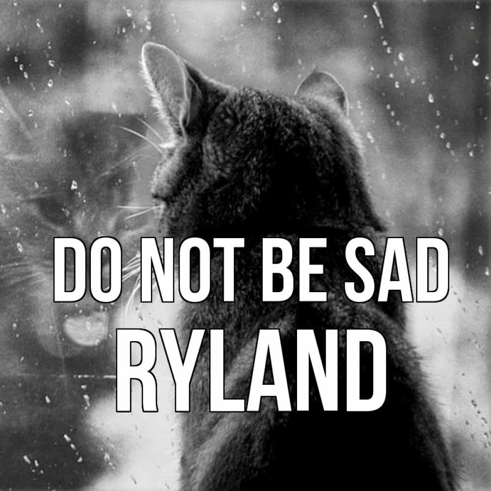 Greetings card с именем, Ryland Do not be sad отражение кота 1 Greetings with text for free download 