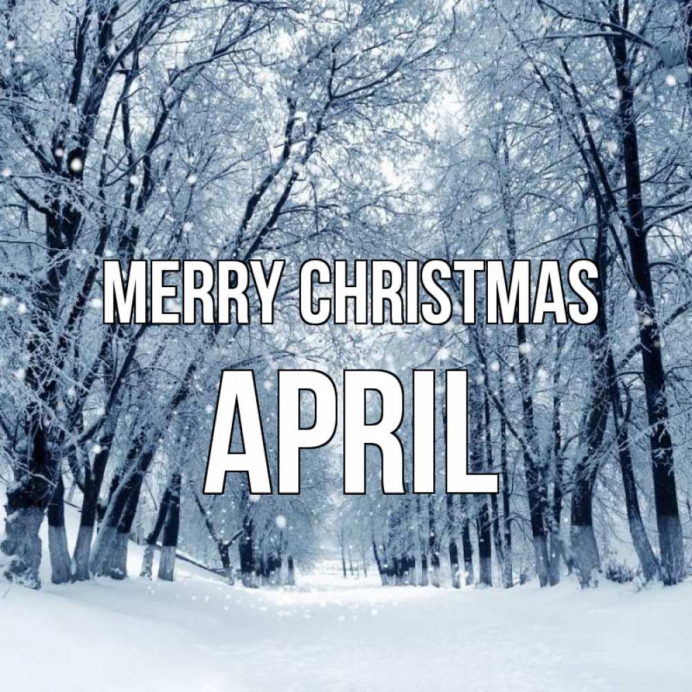 Greetings card с именем, April Merry Christmas снег, лес, парк Greetings with text for free download 