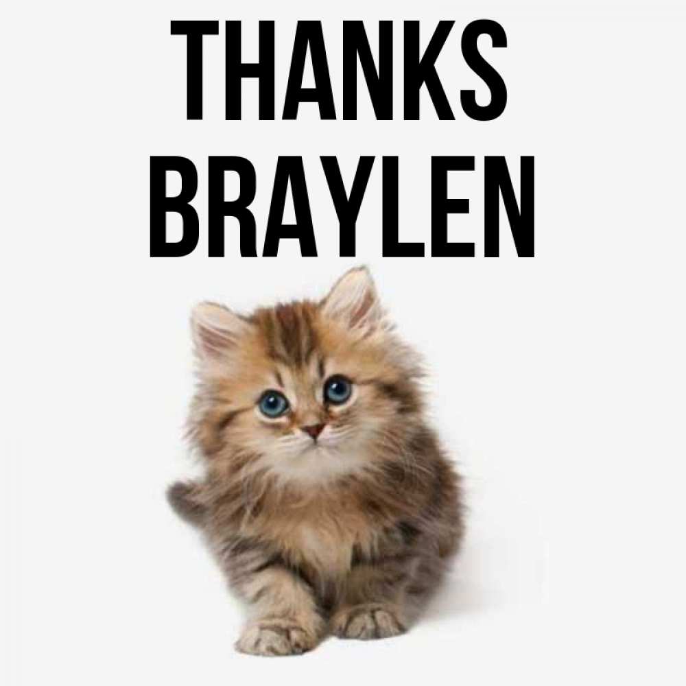 Greetings card с именем, Braylen Thanks пушистый котик Greetings with text for free download 