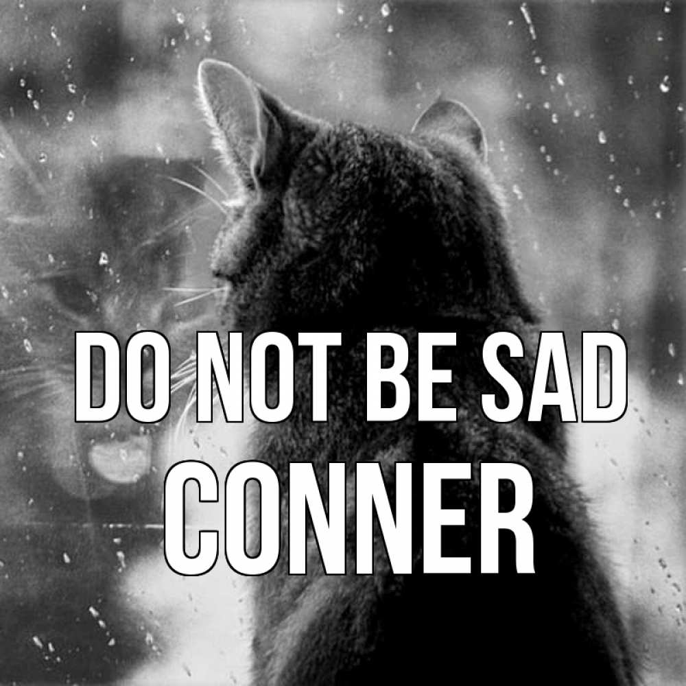 Greetings card с именем, Conner Do not be sad отражение кота 1 Greetings with text for free download 