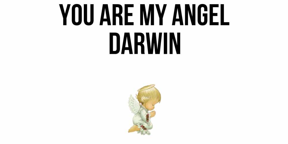 Greetings card с именем, Darwin You are my angel ангел Greetings with text for free download 