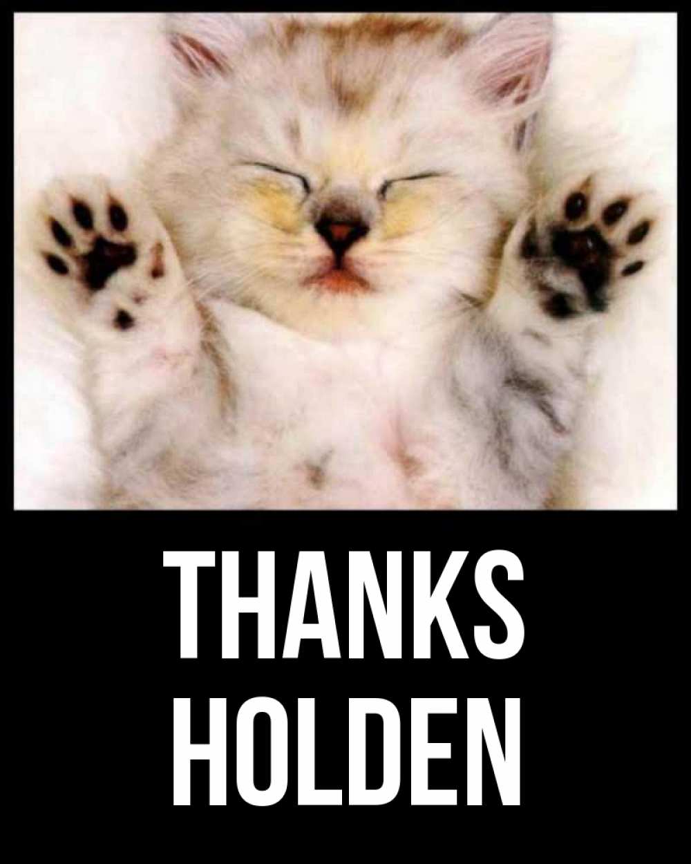 Greetings card с именем, Holden Thanks маленький котенок Greetings with text for free download 