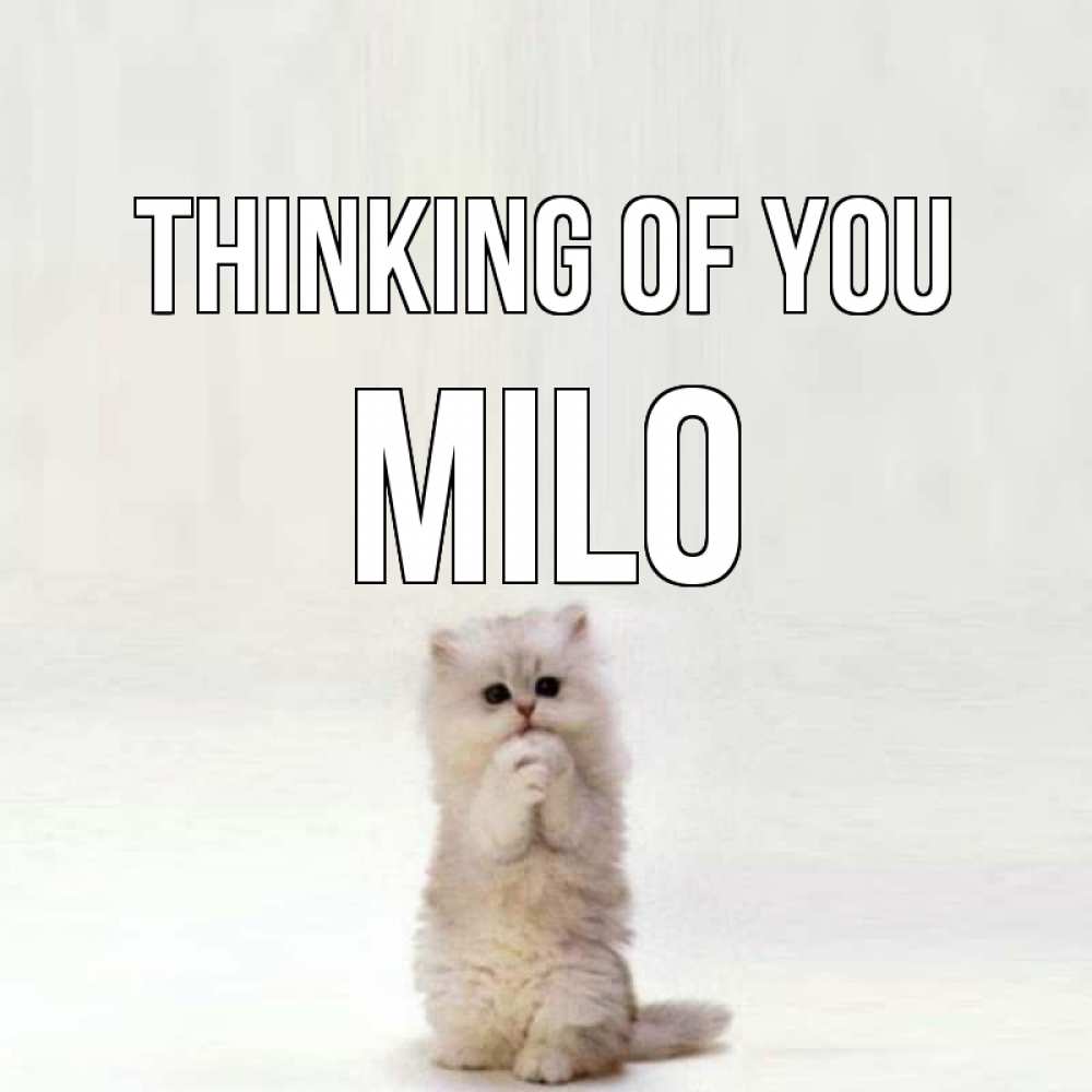Greetings card с именем, Milo Thinking of you кот стоит на задних лапах Greetings with text for free download 