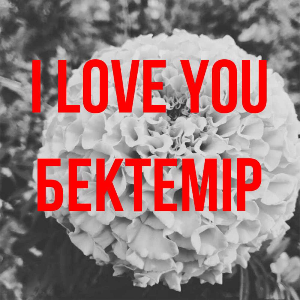Greetings card с именем, Бектемір I love you подпись Greetings with text for free download 