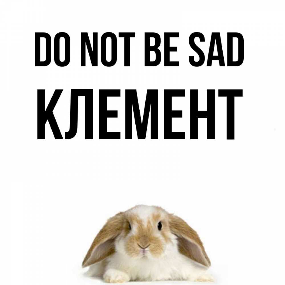Greetings card с именем, Клемент Do not be sad коричнево белый заяц с большими ушками Greetings with text for free download 