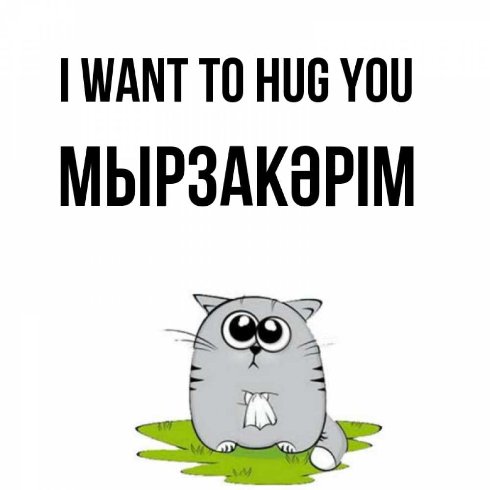 Greetings card с именем, Мырзакәрім I want to hug you котик теребит платочек сидя на травке Greetings with text for free download 