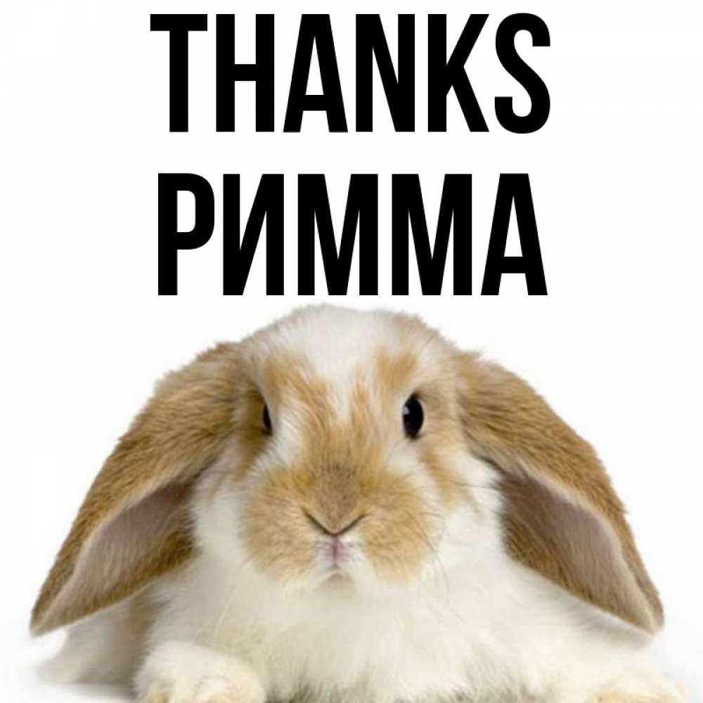 Greetings card с именем, Римма Thanks коричнево белый заяц Greetings with text for free download 
