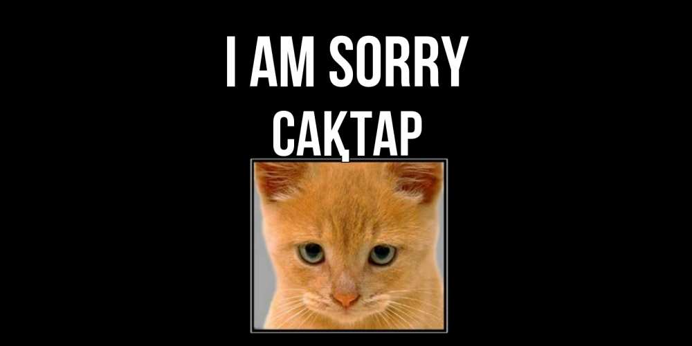 Greetings card с именем, САҚТАР I am sorry рыжий грустный кот просит прощения Greetings with text for free download 