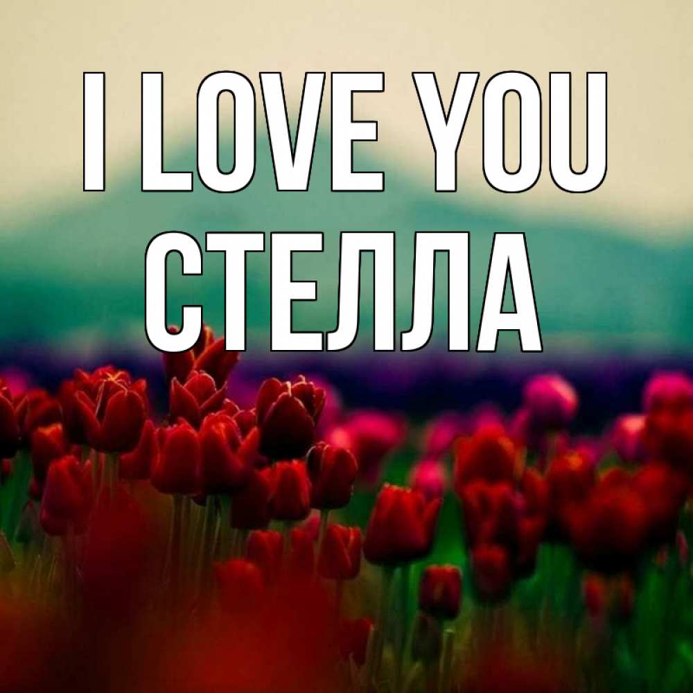 Greetings card с именем, Стелла I love you тюльпаны 4 Greetings with text for free download 