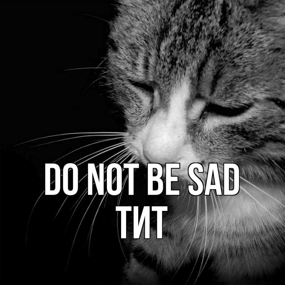 Greetings card с именем, Тит Do not be sad грустный котик Greetings with text for free download 