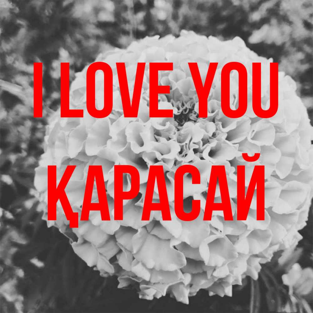Greetings card с именем, Қарасай I love you подпись Greetings with text for free download 