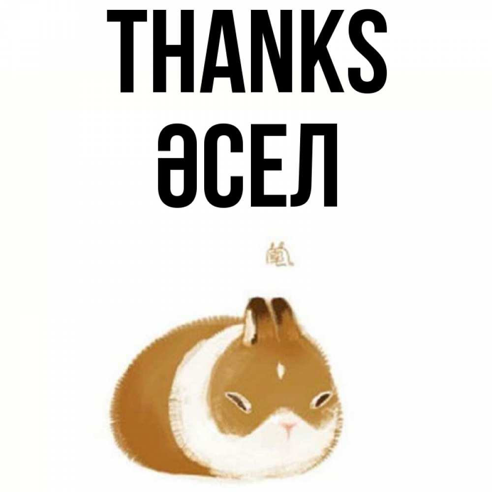 Greetings card с именем, ӘСЕЛ Thanks коричнево белый домашний питомец Greetings with text for free download 
