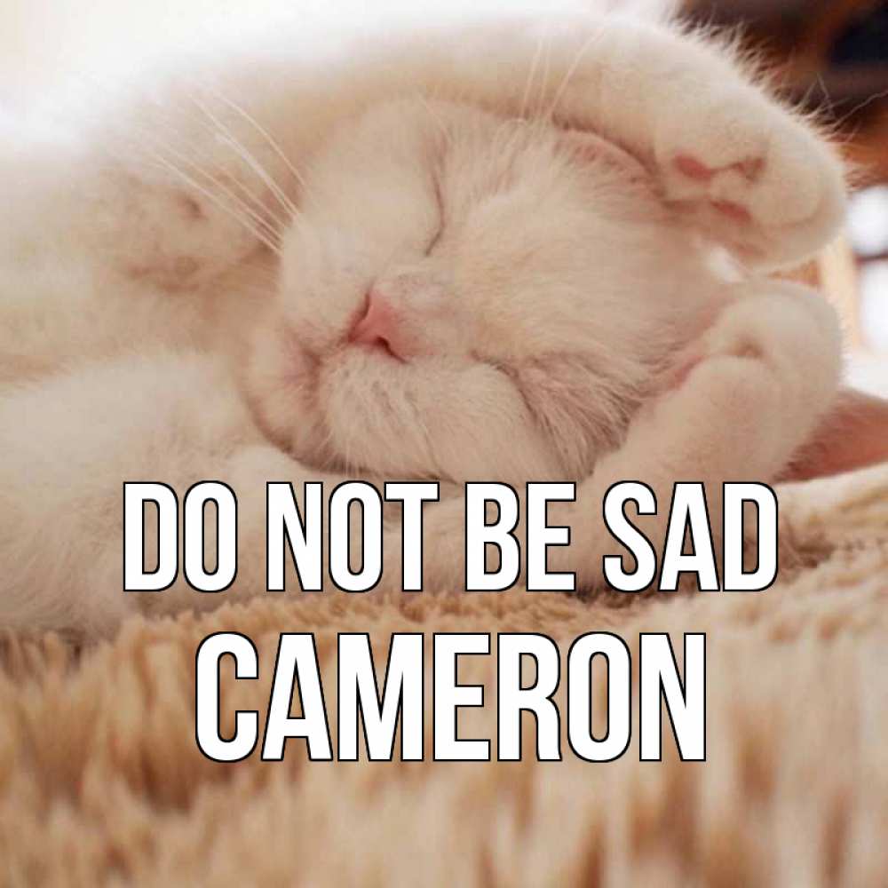 Greetings card с именем, Cameron Do not be sad белый кот Greetings with text for free download 