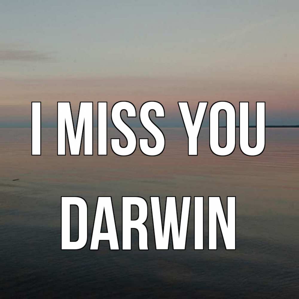 Greetings card с именем, Darwin I miss you пусто Greetings with text for free download 