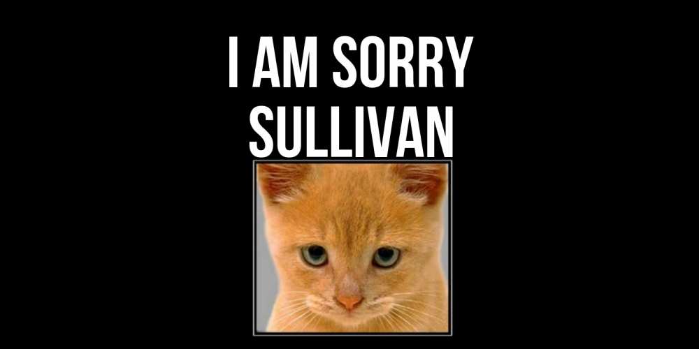 Greetings card с именем, Sullivan I am sorry рыжий грустный кот просит прощения Greetings with text for free download 