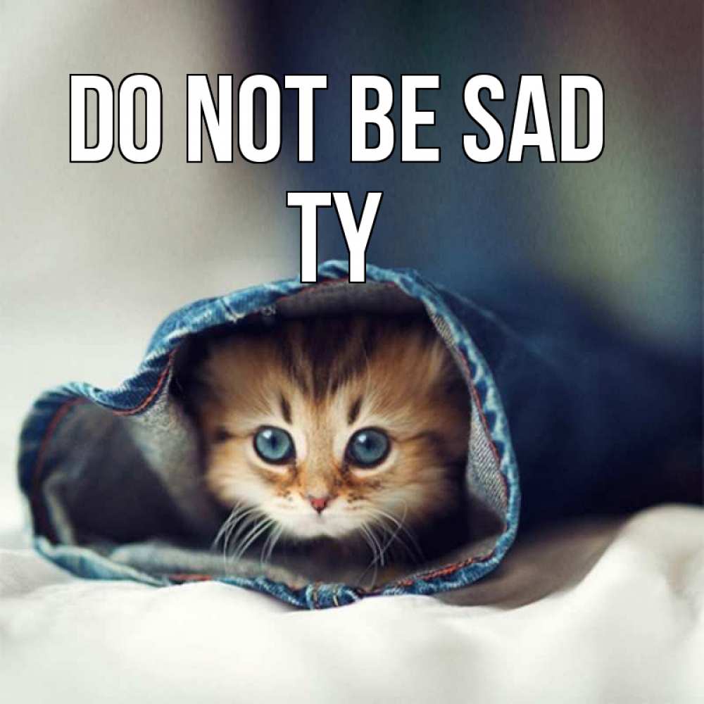 Greetings card с именем, Ty Do not be sad рыжик котик Greetings with text for free download 