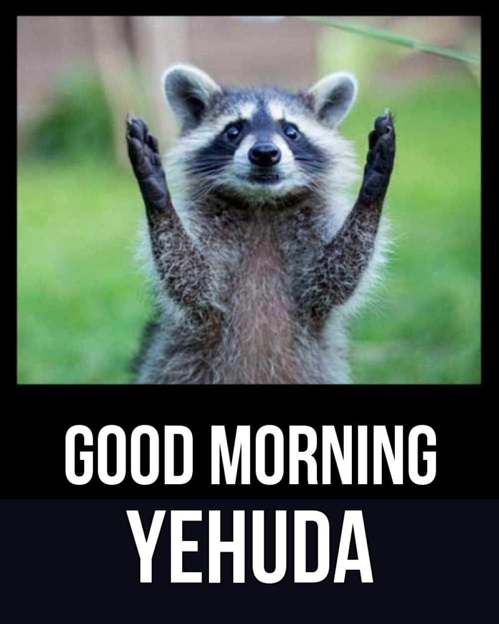 Greetings card с именем, Yehuda Good morning хорошее настроение утречком Greetings with text for free download 