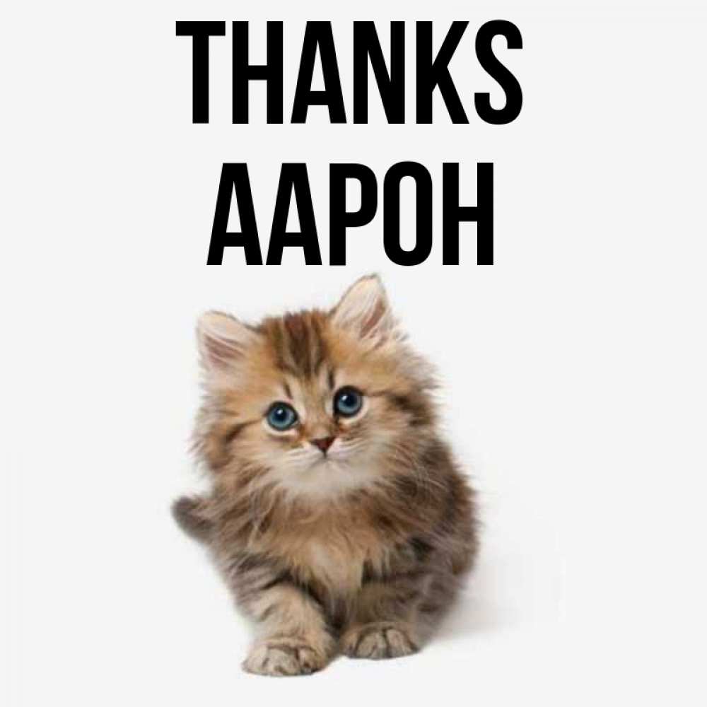 Greetings card с именем, Аарон Thanks пушистый котик Greetings with text for free download 