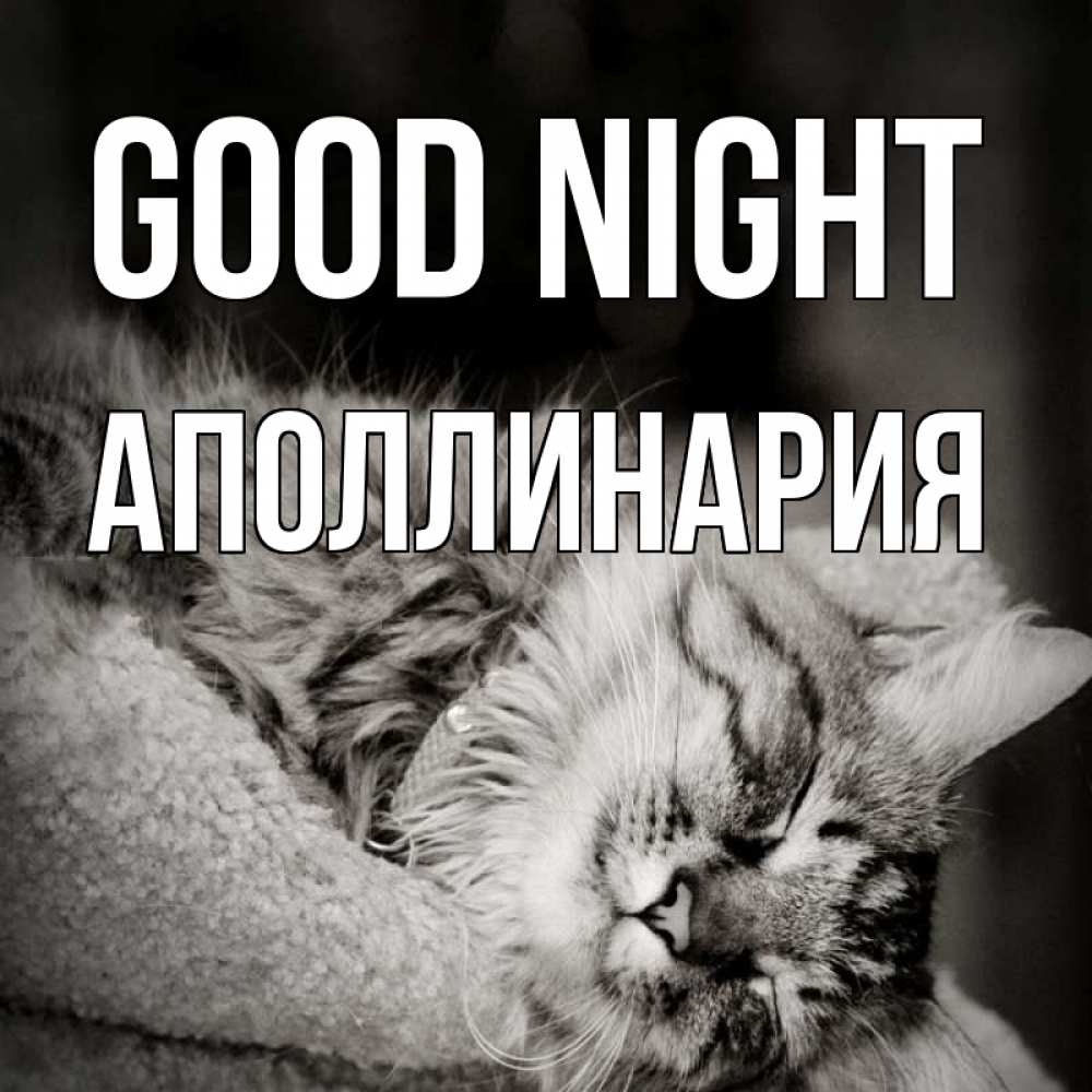 Greetings card с именем, Аполлинария Good night котярик пушистый Greetings with text for free download 