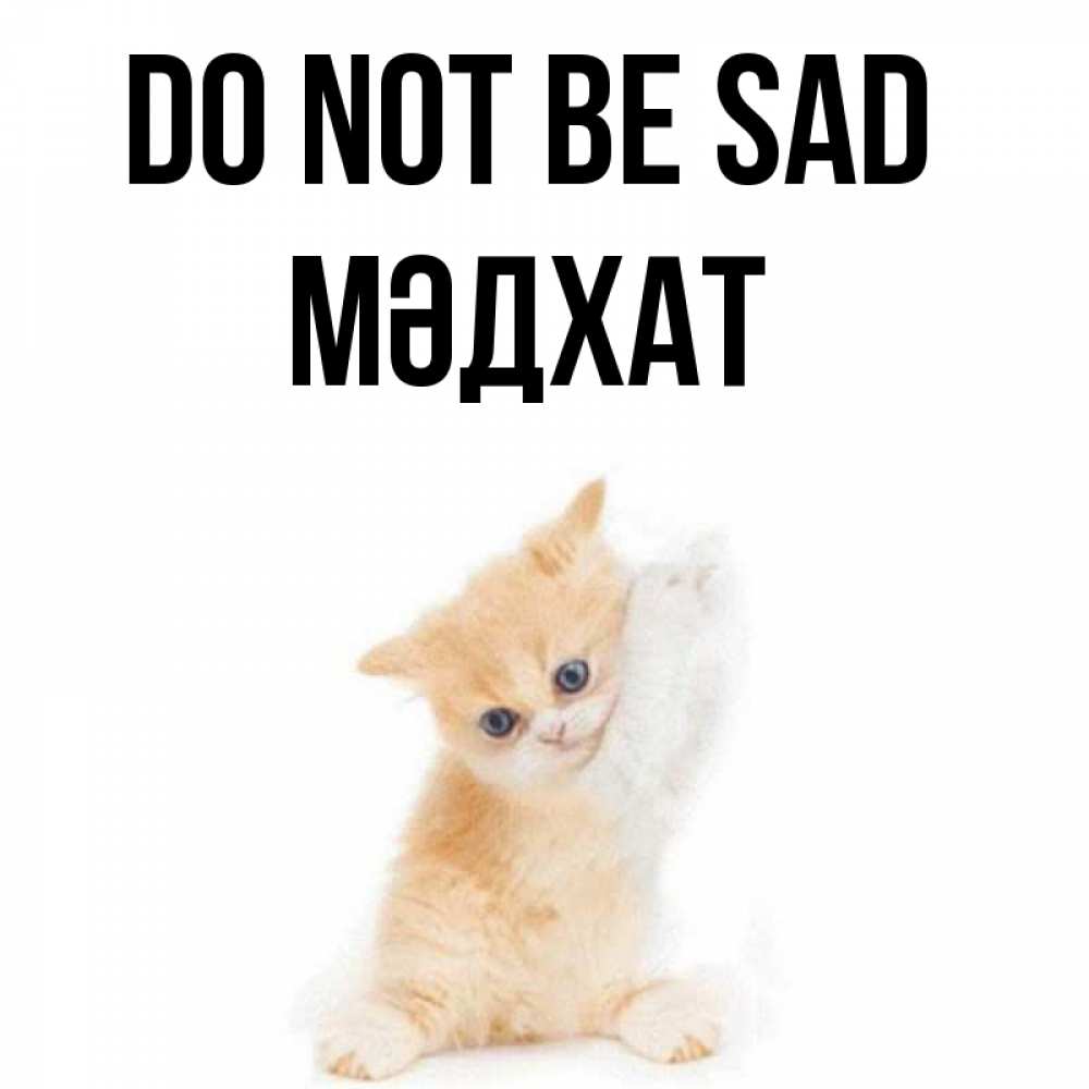 Greetings card с именем, МӘДХАТ Do not be sad просящий кот Greetings with text for free download 