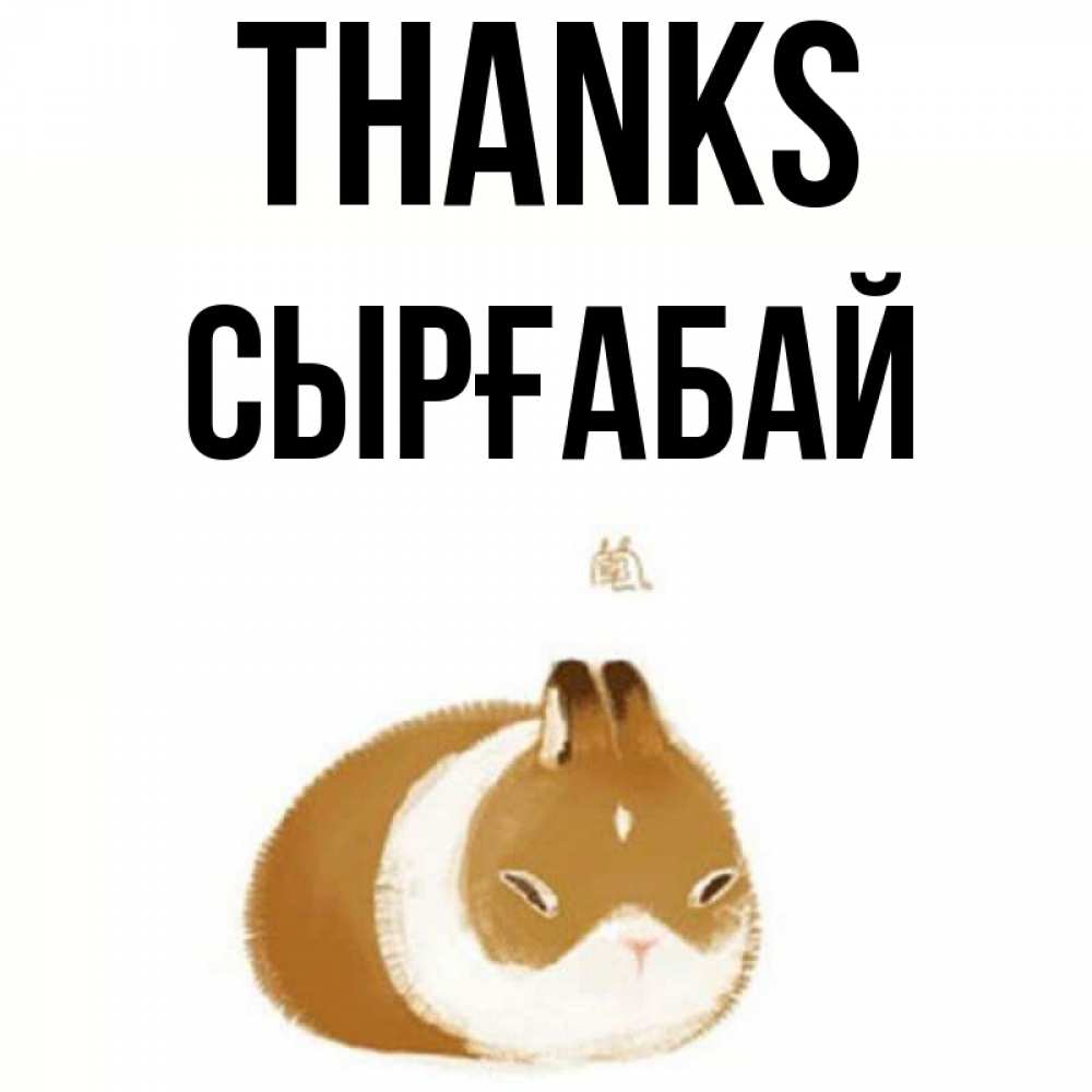 Greetings card с именем, СЫРҒАБАЙ Thanks коричнево белый домашний питомец Greetings with text for free download 