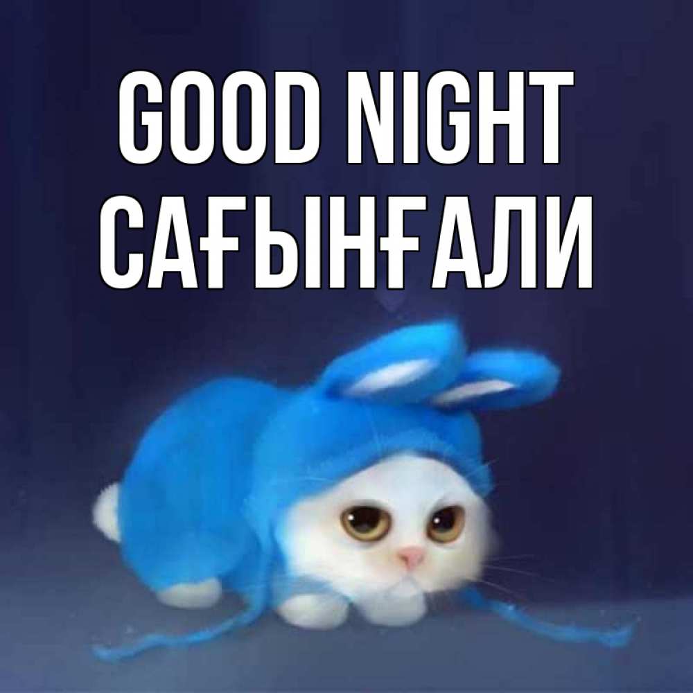 Greetings card с именем, Сағынғали Good night кот в голубом костюме кролика с ушками Greetings with text for free download 