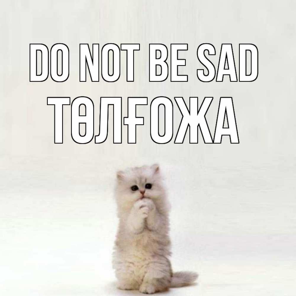 Greetings card с именем, ТӨЛҒОЖА Do not be sad грустный кот Greetings with text for free download 