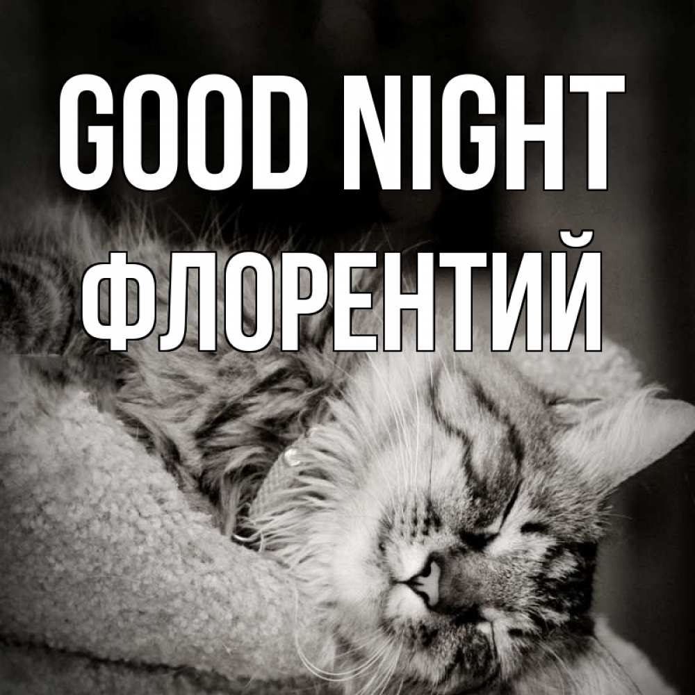 Greetings card с именем, Флорентий Good night котярик пушистый Greetings with text for free download 