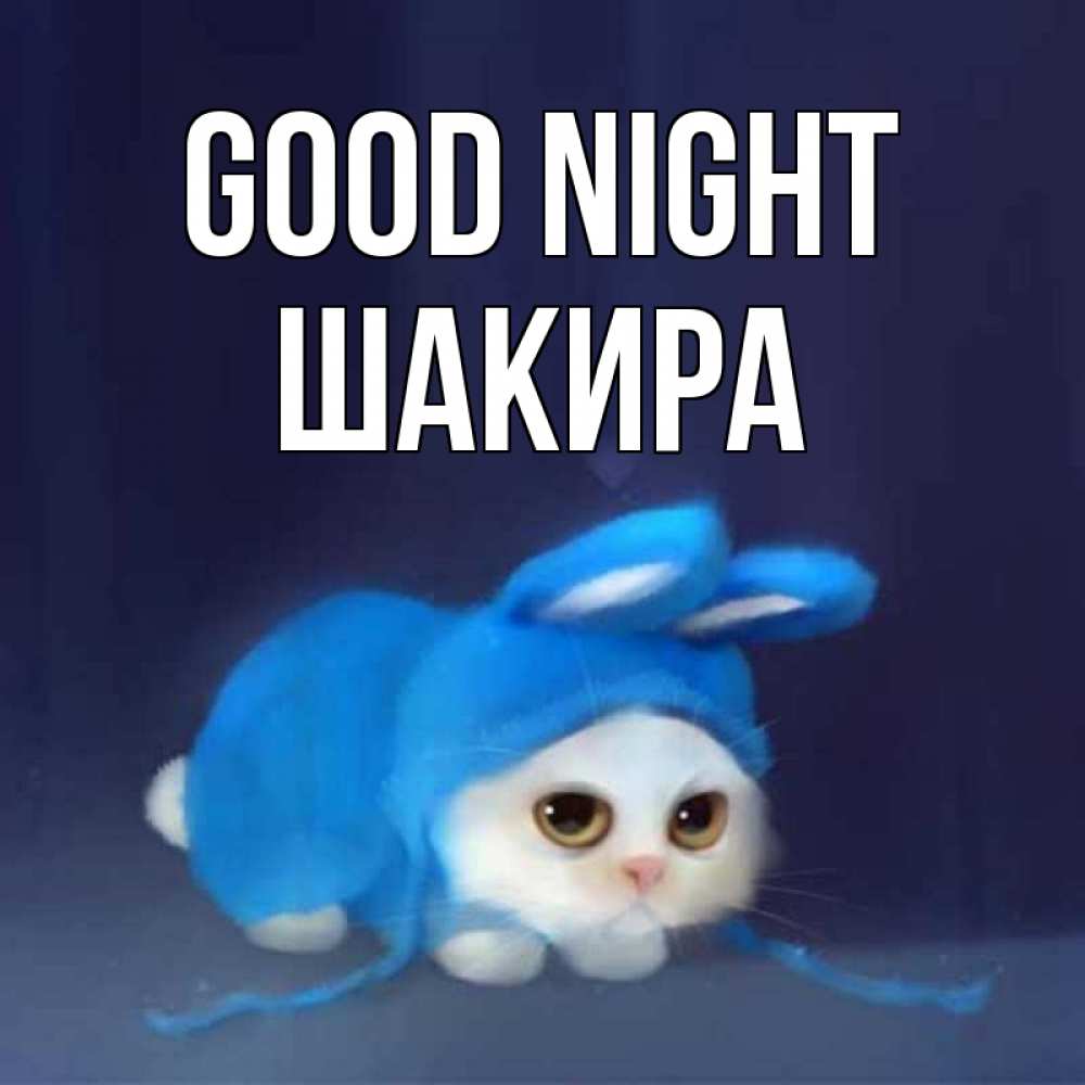 Greetings card с именем, Шакира Good night кот в голубом костюме кролика с ушками Greetings with text for free download 