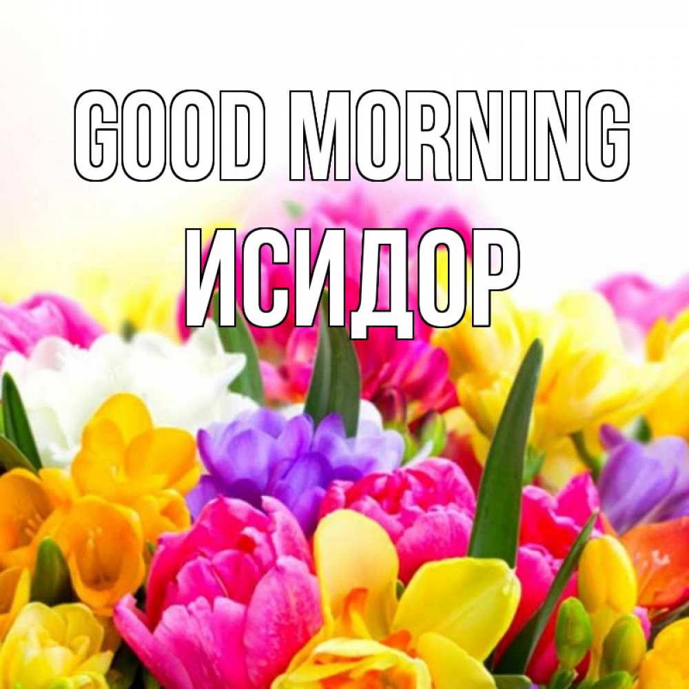 Greetings card с именем, Исидор Good morning создать открытку со свое подписью Greetings with text for free download 