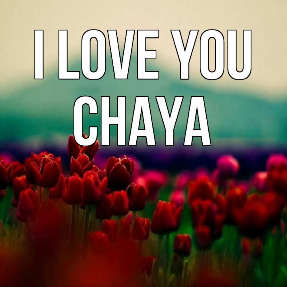 Greetings card с именем, Chaya I love you тюльпаны 4 Greetings with text for free download 