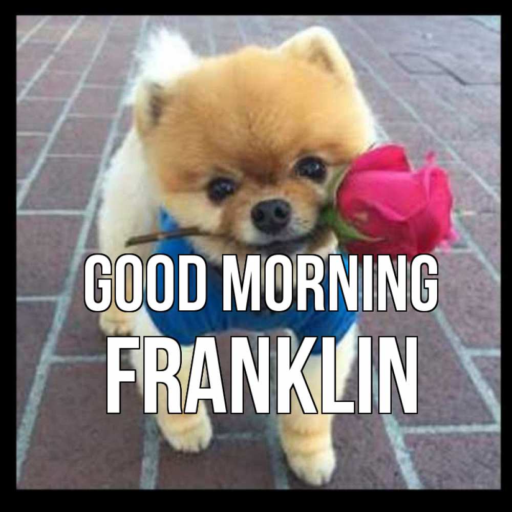 Greetings card с именем, Franklin Good morning роза в зубах Greetings with text for free download 