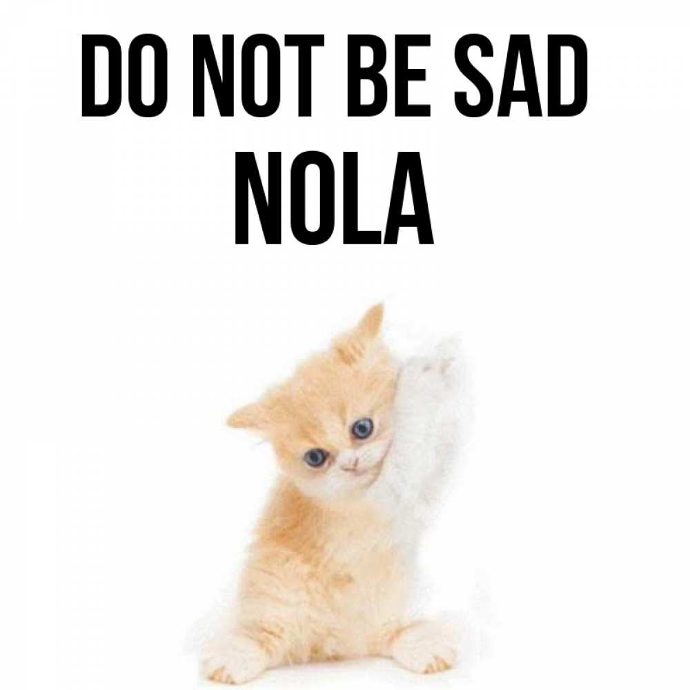 Greetings card с именем, Nola Do not be sad просящий кот Greetings with text for free download 