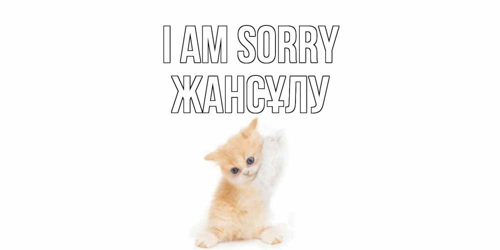 Greetings card с именем, Жансұлу I am sorry кот Greetings with text for free download 