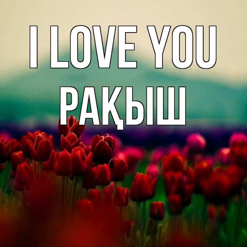 Greetings card с именем, Рақыш I love you тюльпаны 4 Greetings with text for free download 