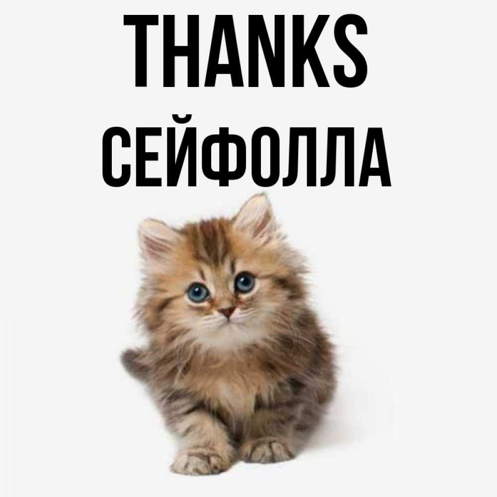 Greetings card с именем, СЕЙФОЛЛА Thanks пушистый котик Greetings with text for free download 