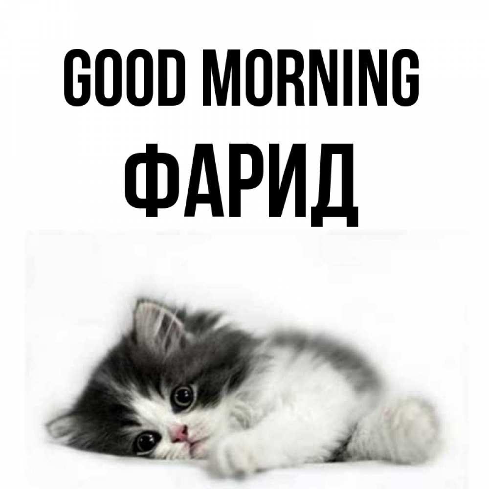 Greetings card с именем, ФАРИД Good morning кот лапки Greetings with text for free download 