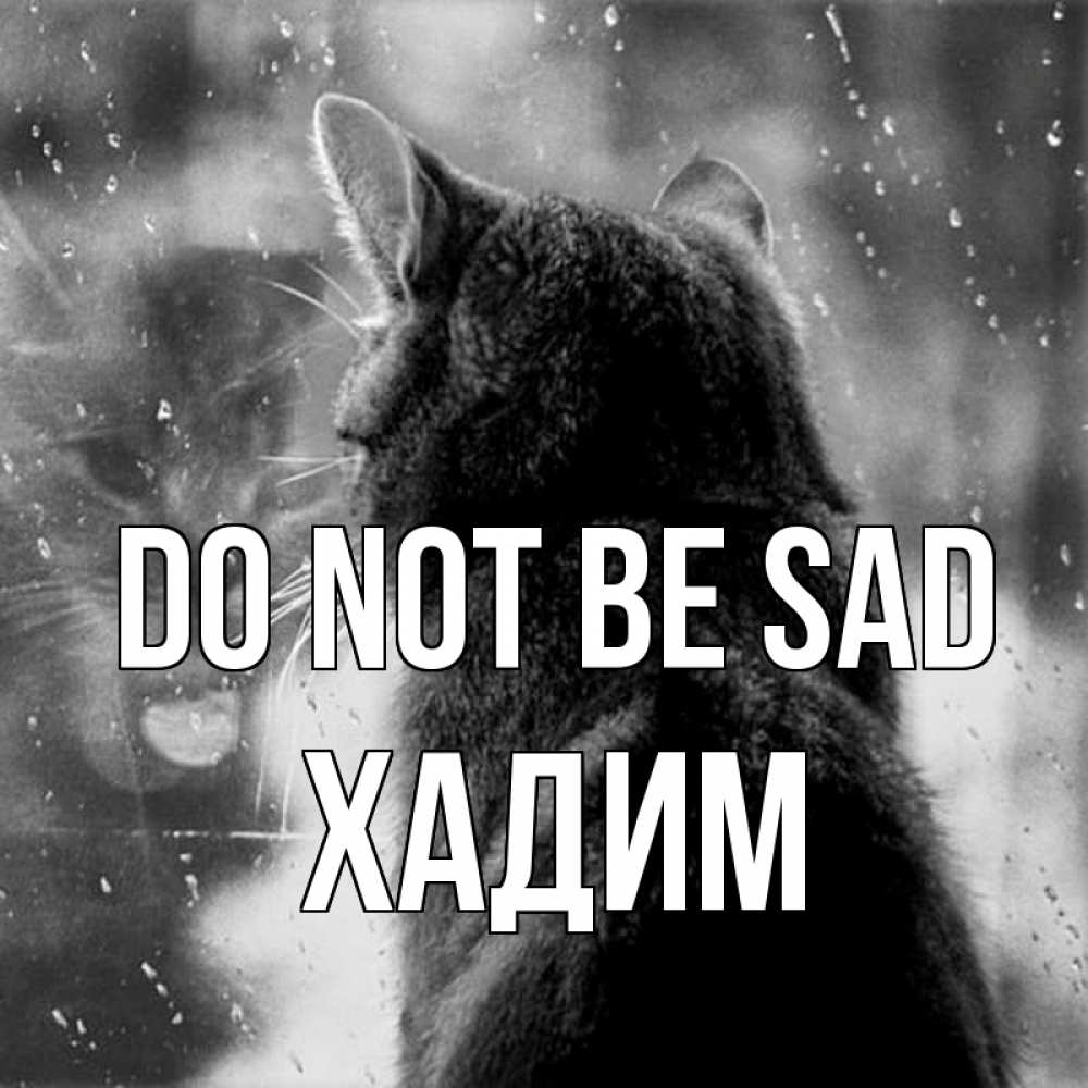 Greetings card с именем, ХАДИМ Do not be sad отражение кота 1 Greetings with text for free download 