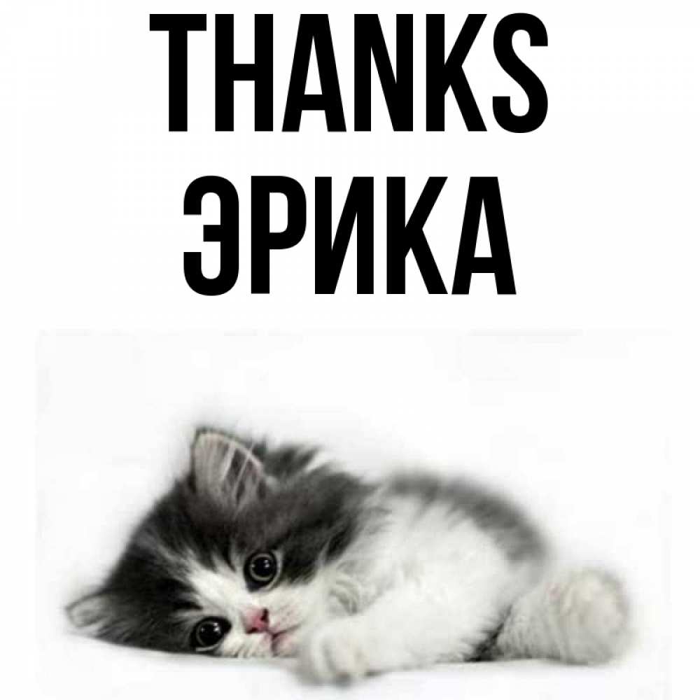 Greetings card с именем, Эрика Thanks черный и белый кот Greetings with text for free download 