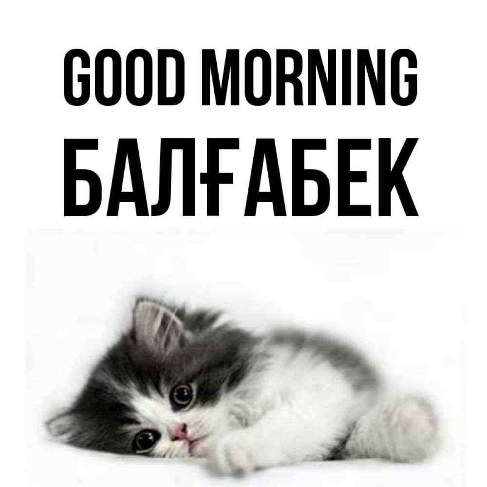 Greetings card с именем, Балғабек Good morning кот лапки Greetings with text for free download 