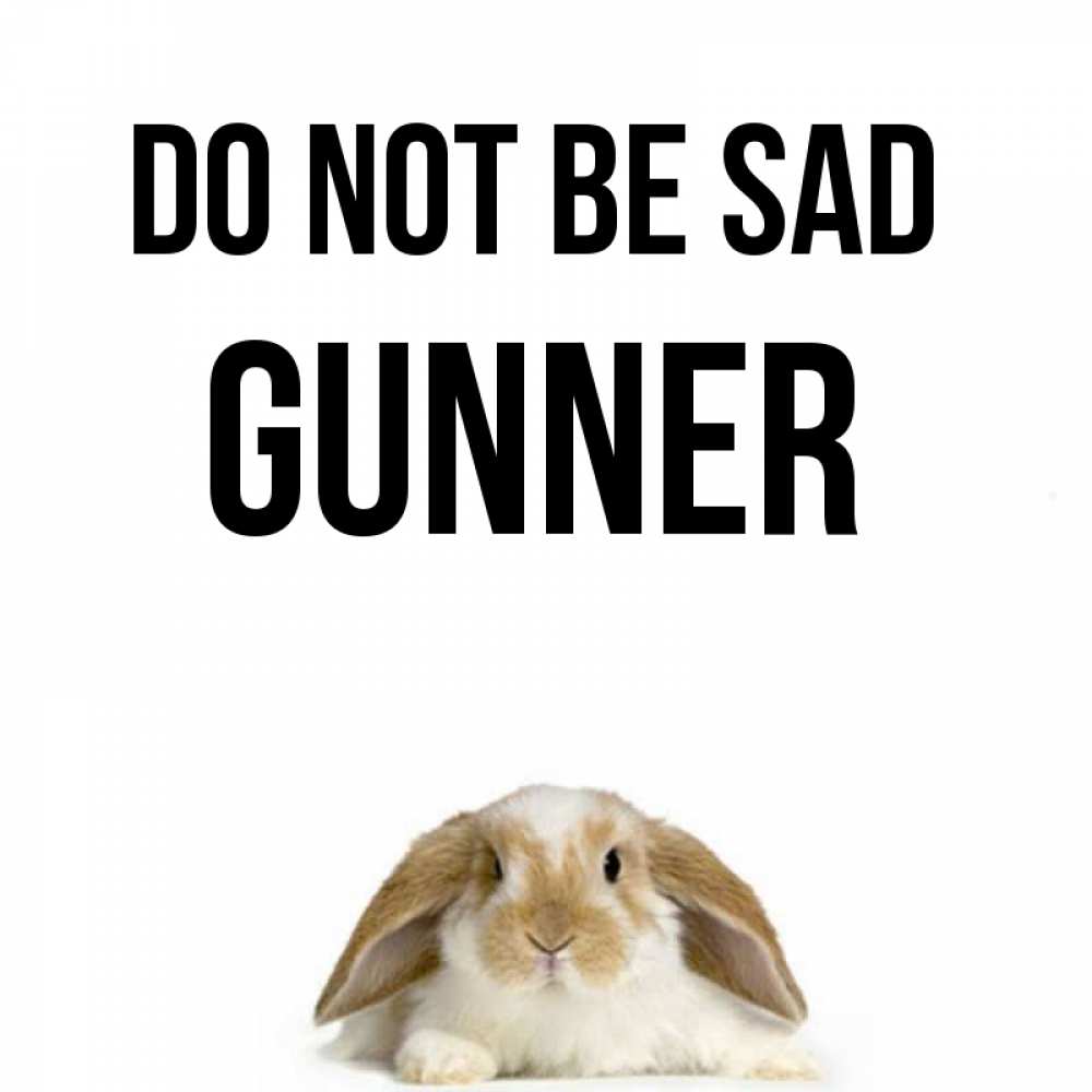 Greetings card с именем, Gunner Do not be sad коричнево белый заяц с большими ушками Greetings with text for free download 