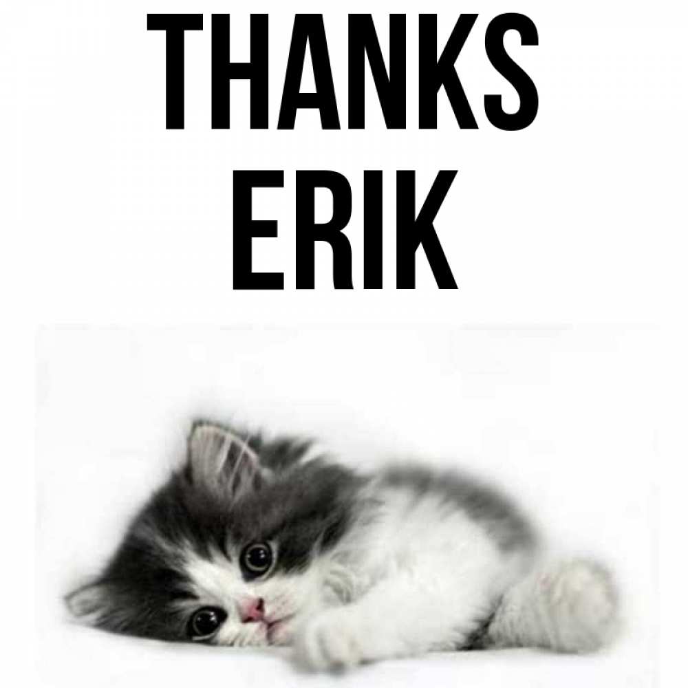 Greetings card с именем, Erik Thanks черный и белый кот Greetings with text for free download 