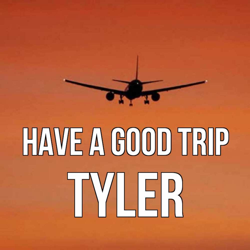 Greetings card с именем, Tyler Have a good trip силуэт самолета Greetings with text for free download 
