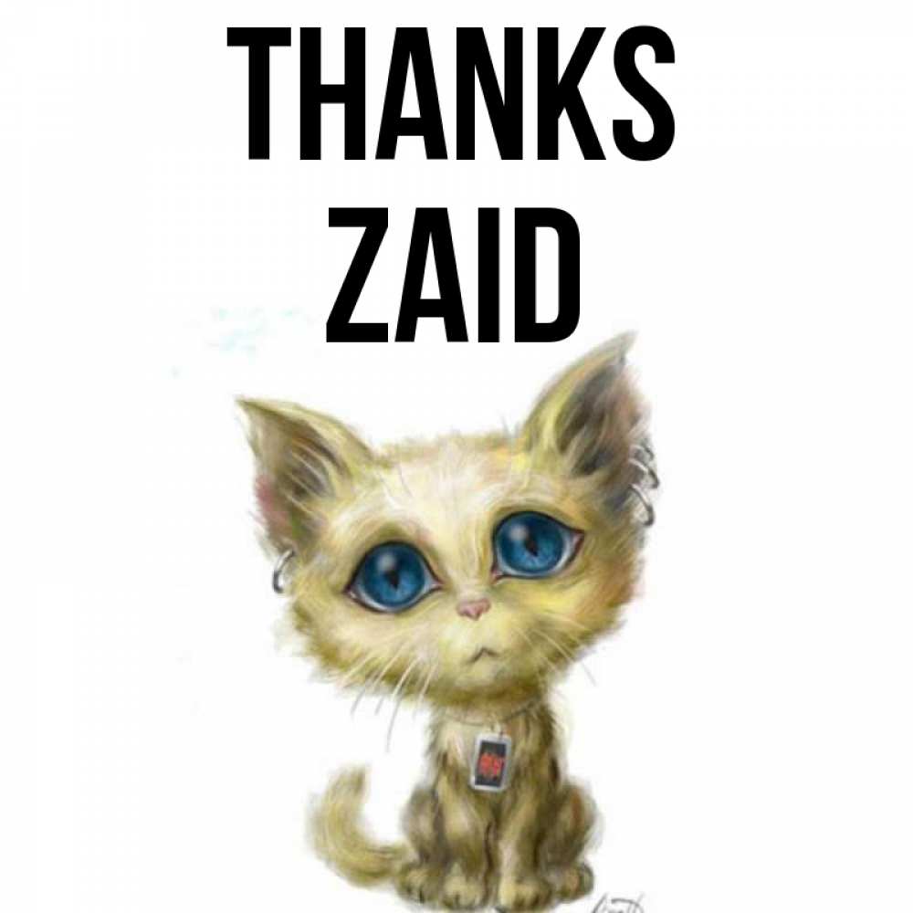 Greetings card с именем, Zaid Thanks рисованный кот благодарит вас Greetings with text for free download 